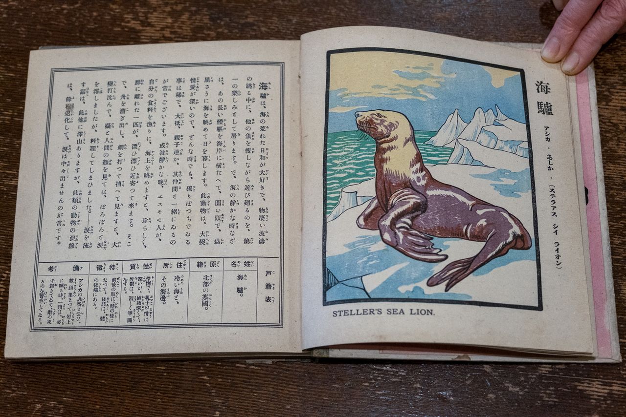 De Dōbutsu ebanashi (Cuentos de animales), otro legado del bisabuelo; escrito por el biólogo Ishikawa Chiyomatsu y Fujisawa Morihiko, e ilustrado por Tominaga Katsushige, un famoso pintor de Tokushima; Nakanishiya Shoten, 1915. (© Michiko Hayashi)