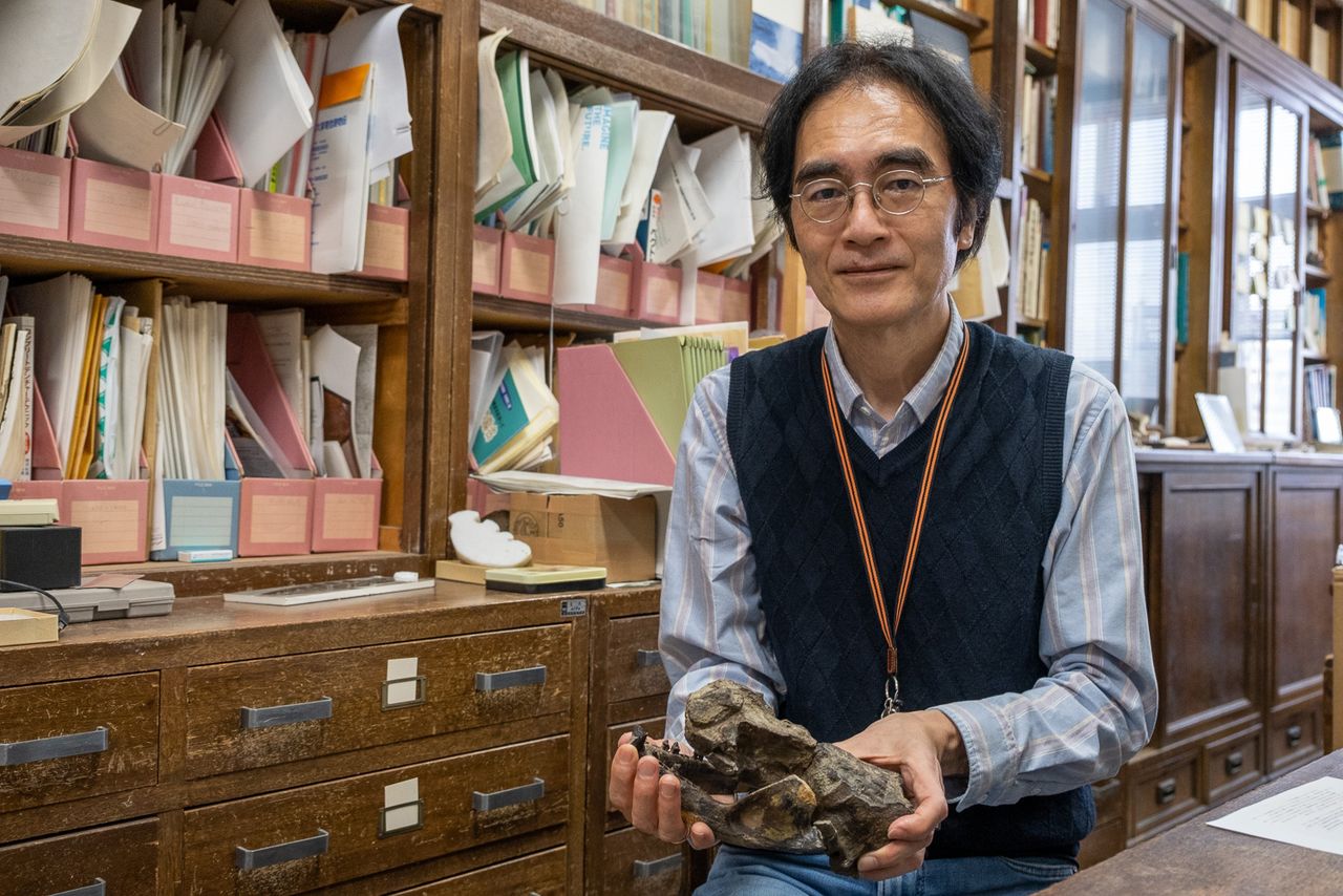 Kōno sostiene una réplica del primer fósil de león marino, con 18 millones de años de antigüedad, el “antiguo león marino de Mizunami” (nombre provisional), descubierto en la ciudad de Mizunami, prefectura de Gifu, en 2020. (© Michiko Hayashi)