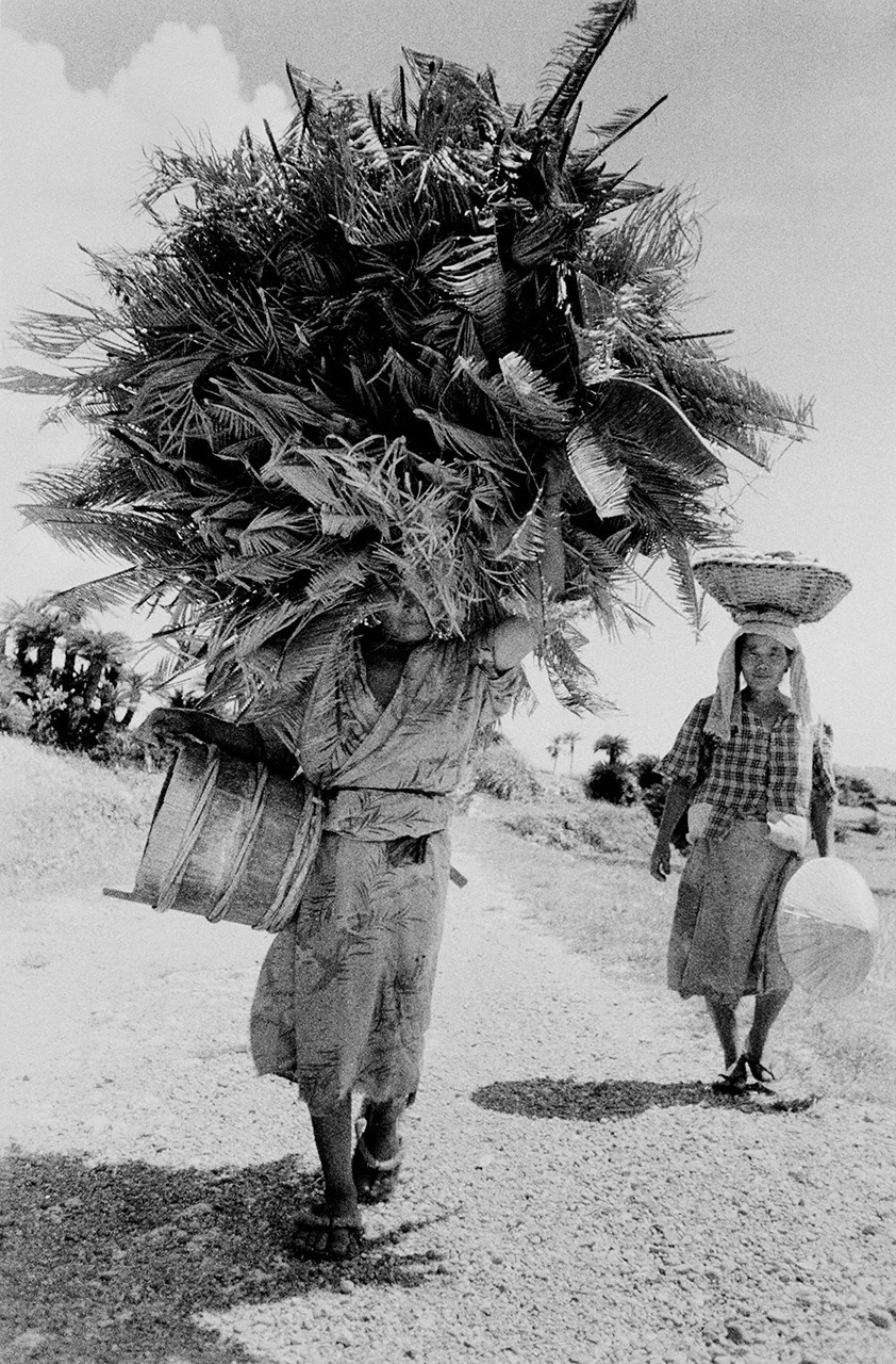 “Transporte sobre la cabeza”. La práctica de transportar cestas y otras cargas sobre la cabeza era muy habitual en las islas del sur. Fotografiada en la isla de Okinoerabu, la mujer de la izquierda lleva hojas de palma de sagú para combustible. (Fotografía de 1956)