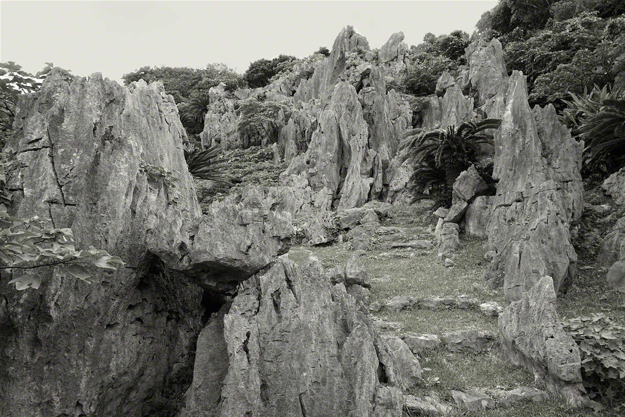 Las formaciones de piedra caliza crean un bosque rocoso. (Fotografía: Ōsaka Hiroshi)