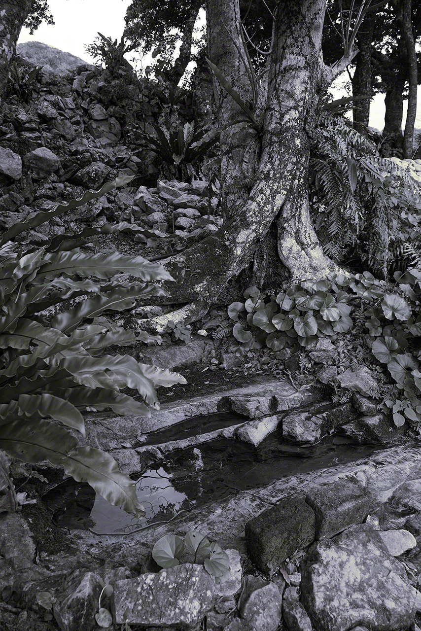 Karaukā, lugar de rezo dentro del castillo. Se dice que las sirvientas de la corte usaban el agua de manantial en su día a día. (Fotografía: Ōsaka Hiroshi.)