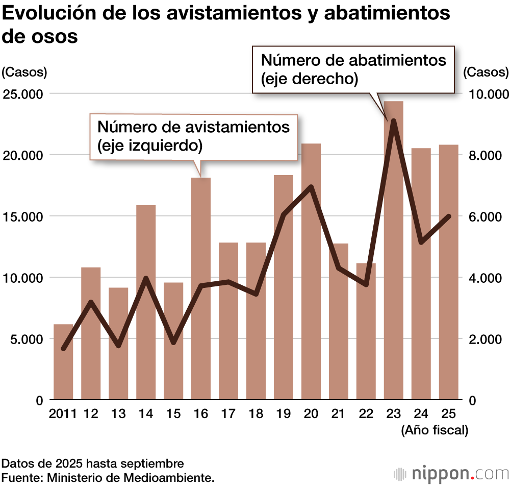 Evolución de los avistamientos y abatimientos de osos